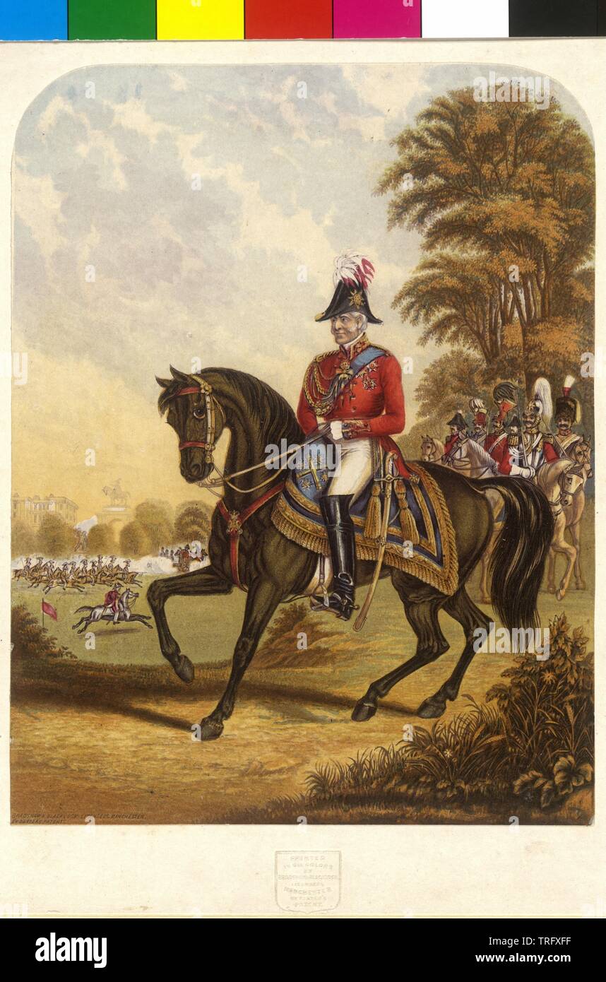 Wellington, Arthur Wellesley Duca di, Additional-Rights-Clearance-Info-Not-Available Foto Stock
