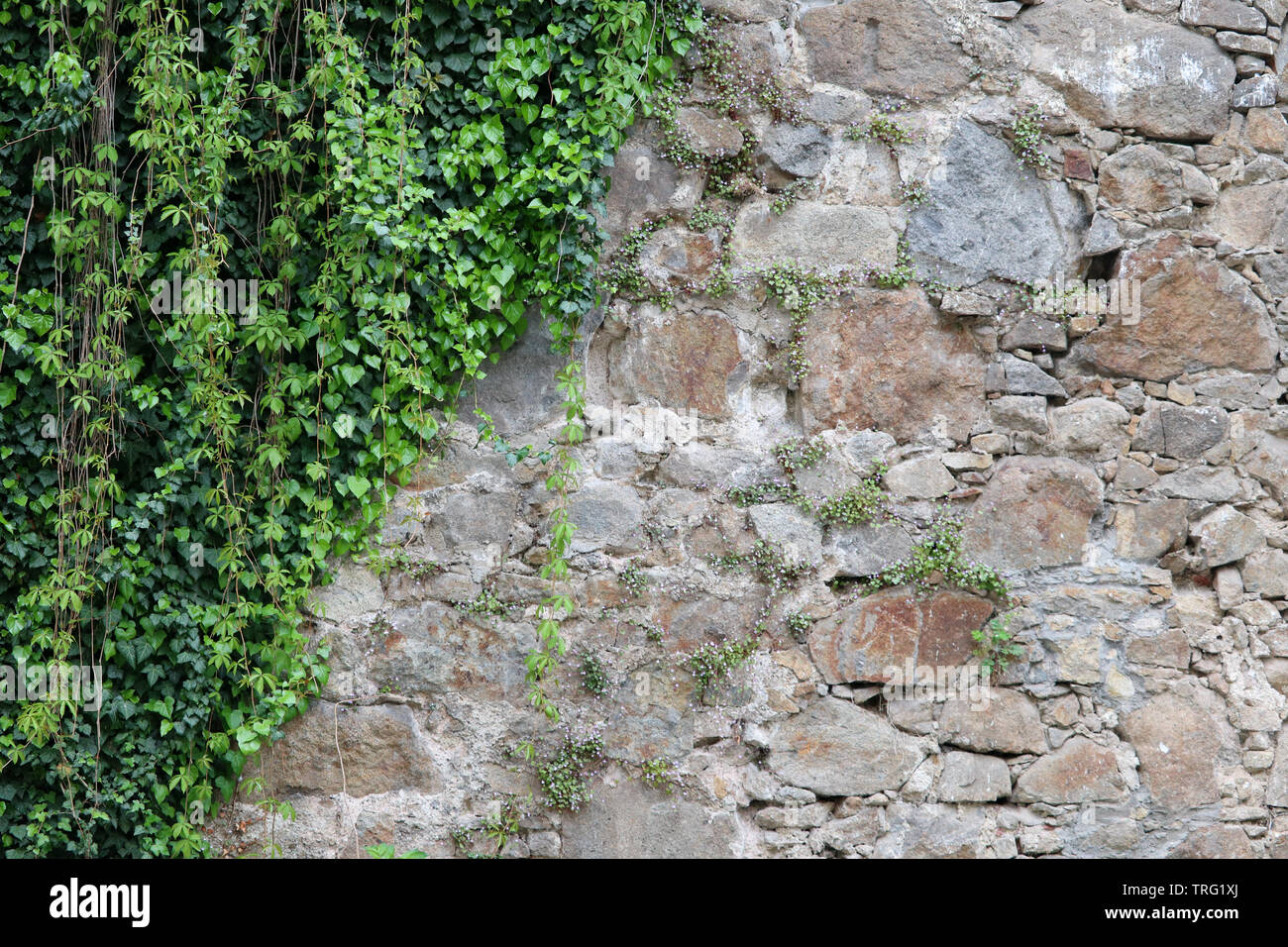 Texture medievale di pietre di campo di un muro di fortificazione Foto Stock