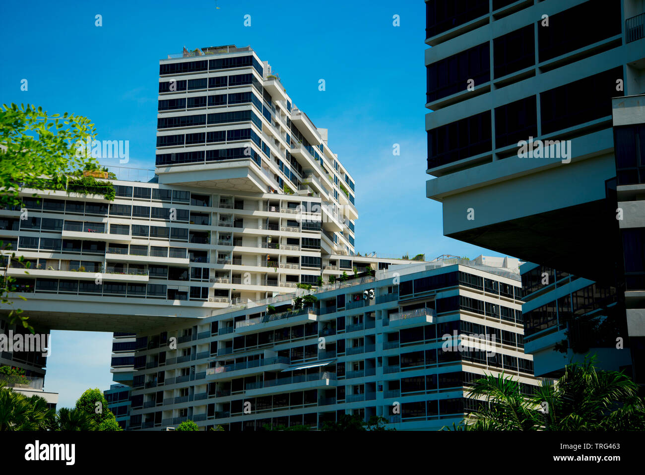 Interlace Appartamenti pubblica - Singapore Foto Stock