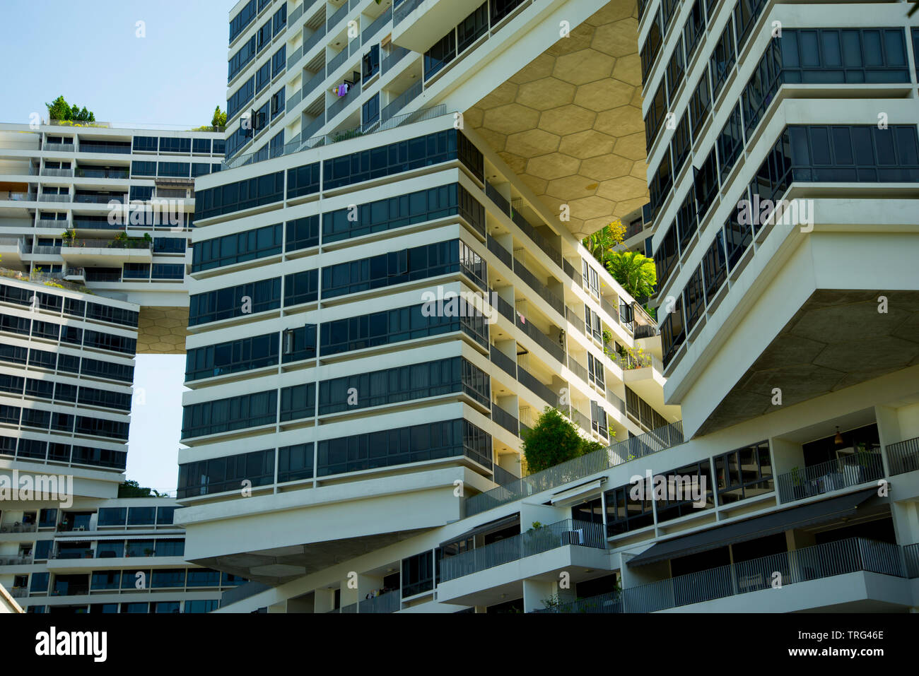 Interlace Appartamenti pubblica - Singapore Foto Stock