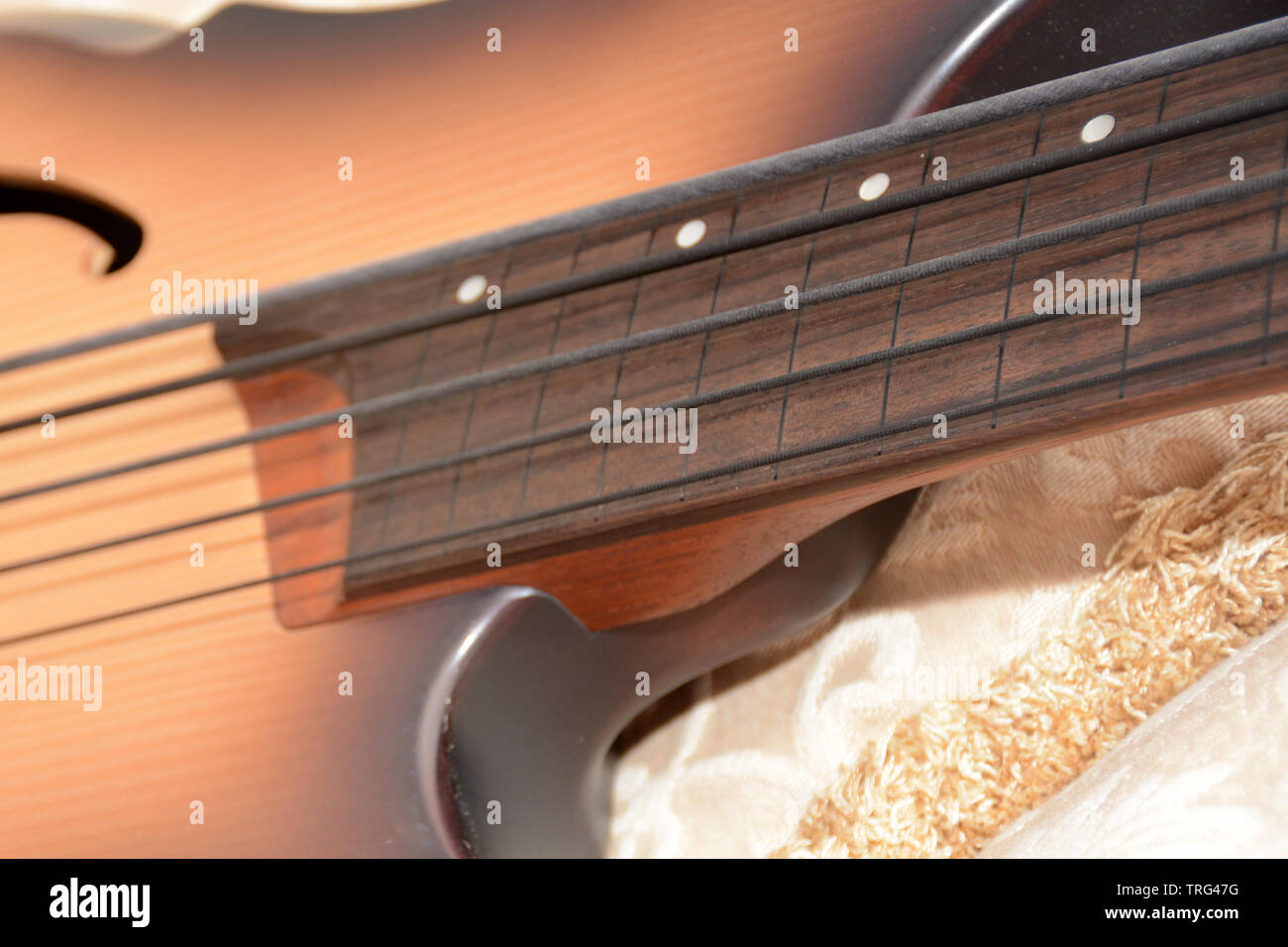 Chitarra basso colore naturale realizzato da un professionista bass player, basso fretless mai diverso nella fotografia prima di ora Foto Stock