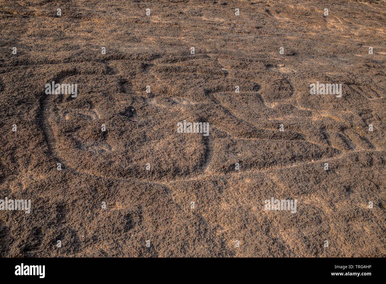 Il famoso Usgalimal incisioni rupestri in Goa, India. Datata prima 8000 BC Foto Stock