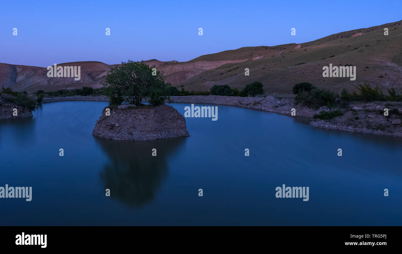 Albero solitario nel piccolo lago di notte Foto Stock