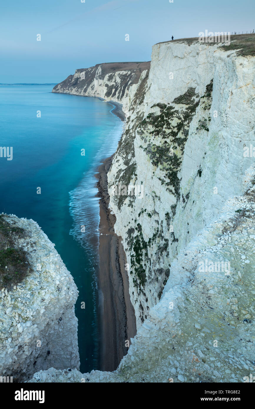 Un solitario che figura sulle scogliere della Jurassic Coast da Bat la testa, Dorset, Inghilterra Foto Stock