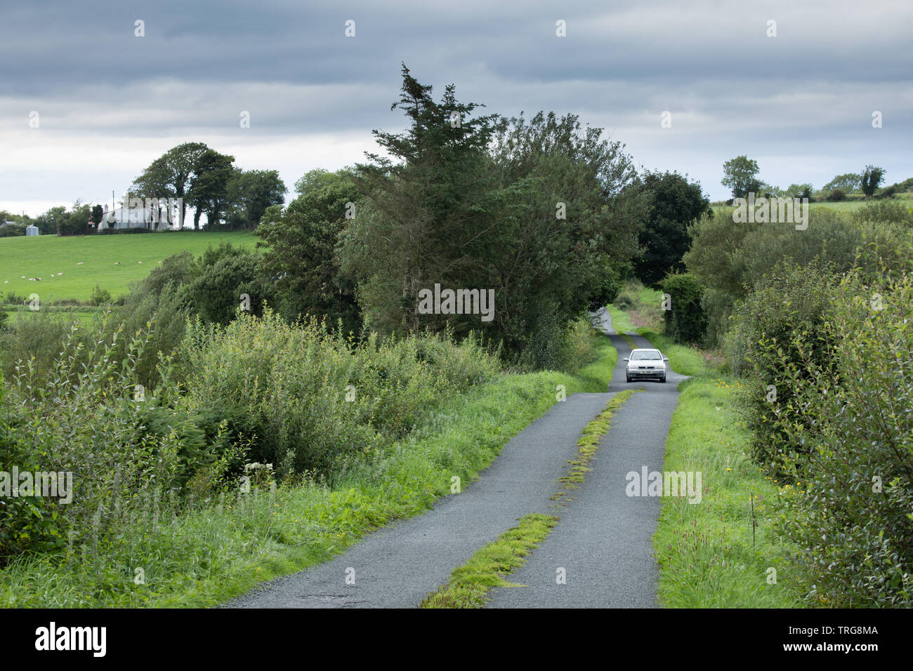 Una traversata sul Co Leitrim, Co Fermanagh frontiera, Irlanda Foto Stock