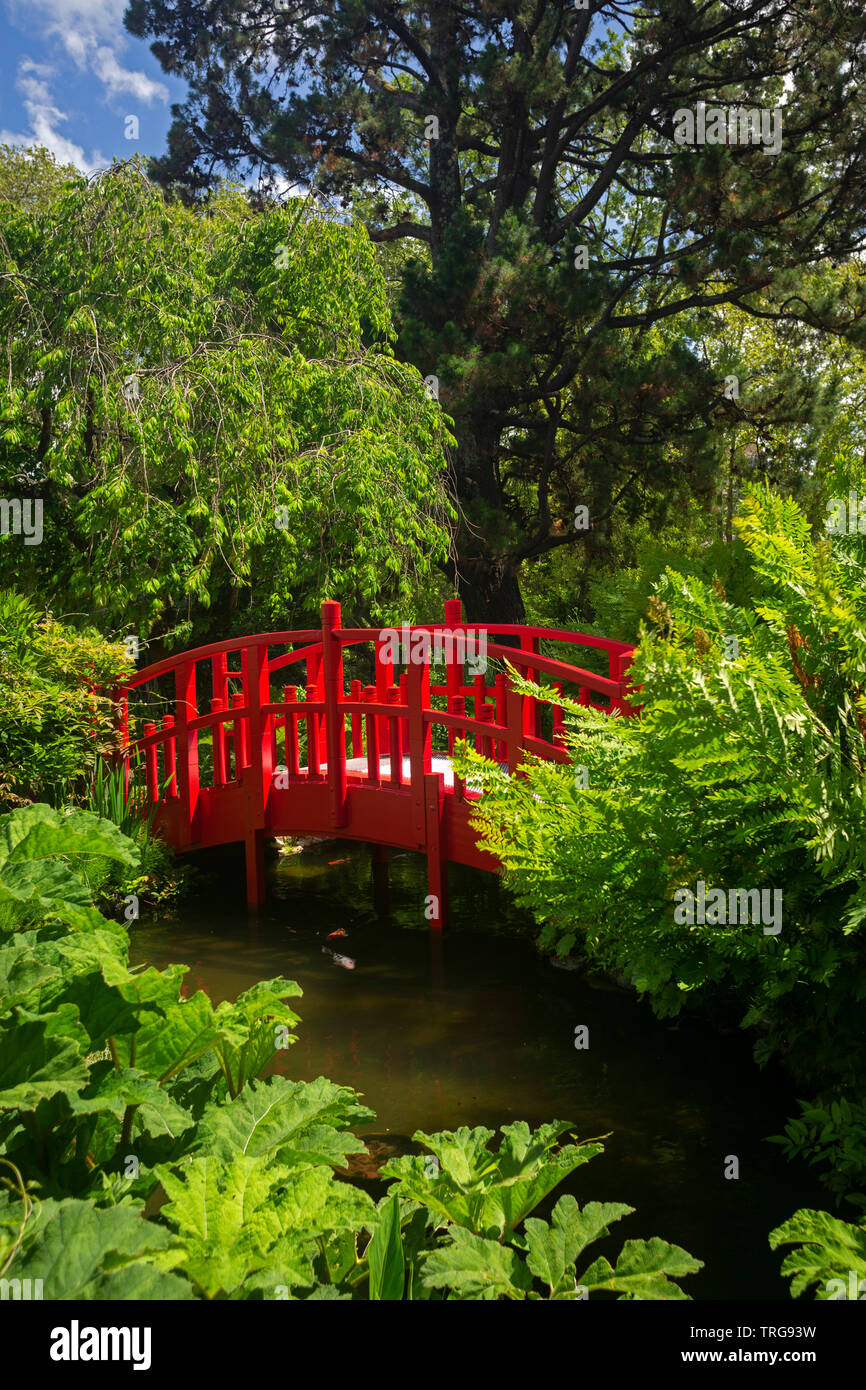 Il piccolo rosso passerella in legno di Bayonne giardino botanico (Francia). Questo giardino ornamentale è stato stabilito in base ad un modello giapponese. Foto Stock