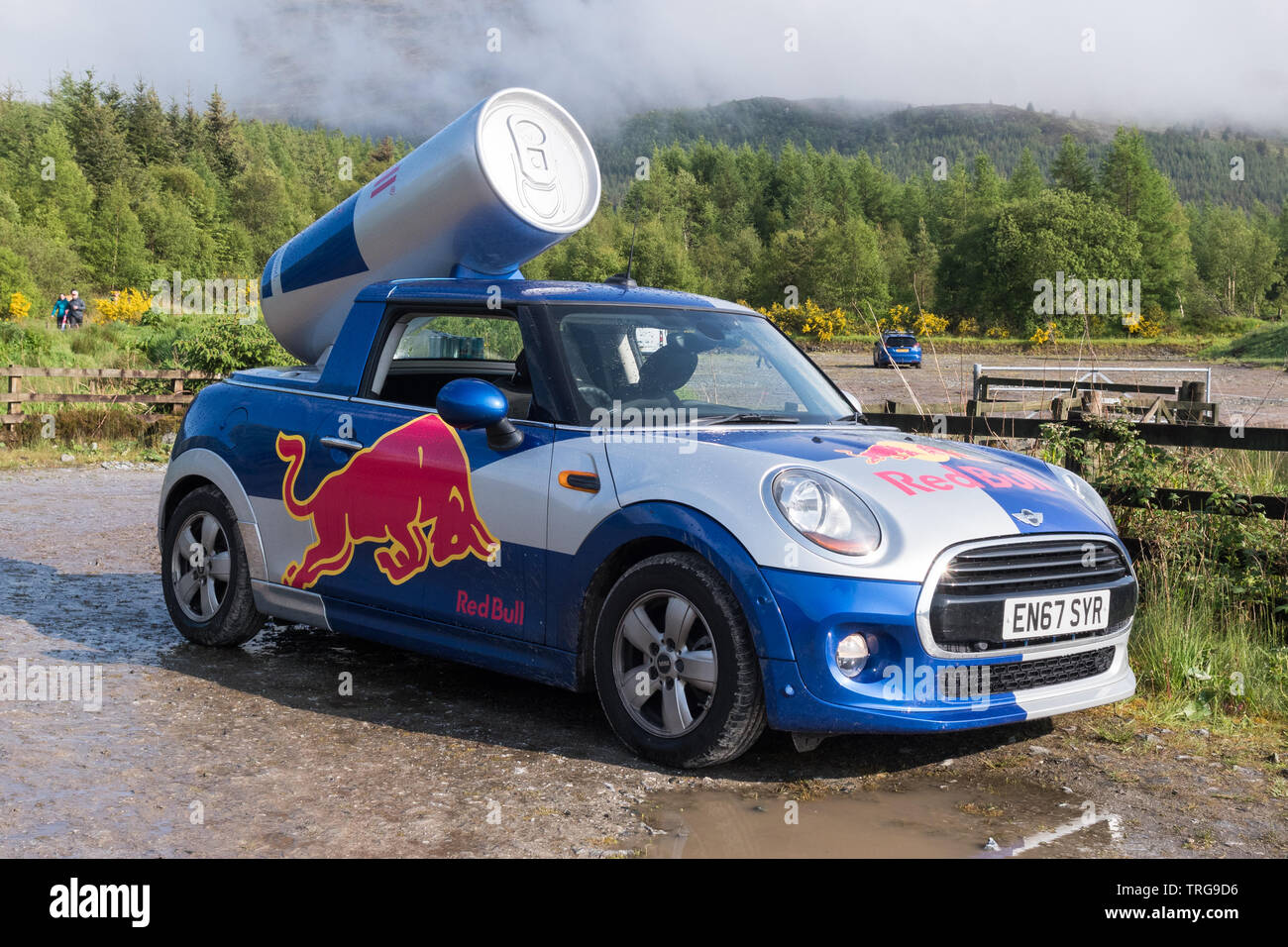 Red Bull mini auto - Fort William, Scotland, Regno Unito Foto Stock