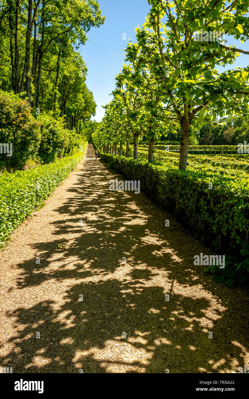 Vicolo ombreggiato di giardini di Villandry. Indre-et-Loire. La Francia. Foto Stock