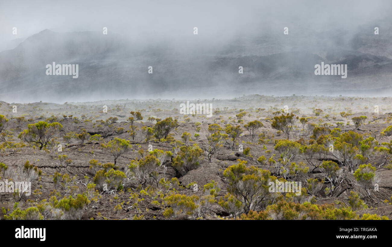 Piton de la Fournaise, Réunion Francia Foto Stock
