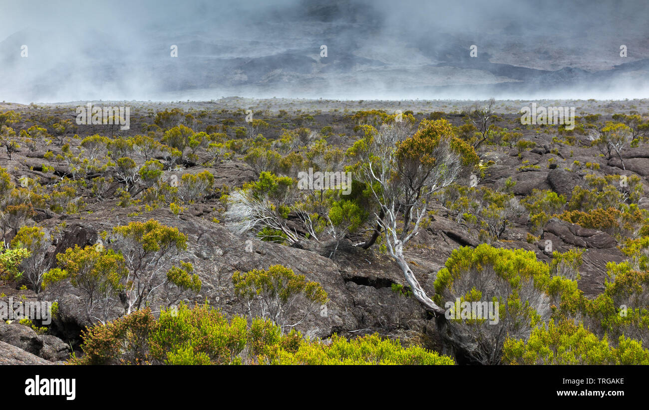 Réunion, Francia Foto Stock