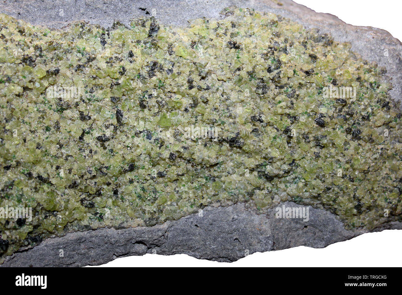 Peridoto verde con olivina nella matrice di basalto, da una bomba vulcanica, Arizona, Stati Uniti d'America Foto Stock