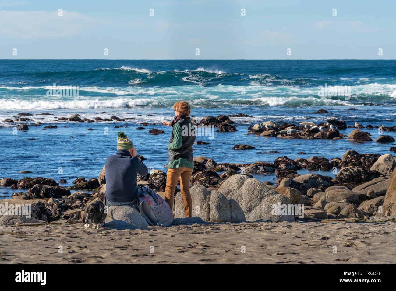 Coppia di anziani e il loro cane guardare gli uccelli, le guarnizioni e le onde vengono a riva lungo Sunset Drive a Monterey in California. Foto Stock