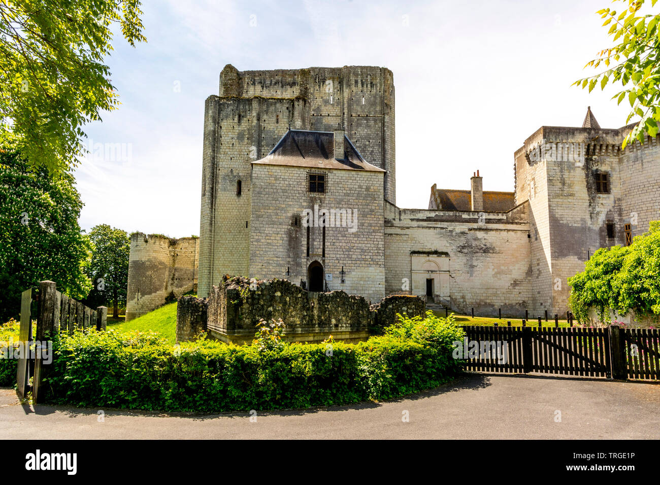 Mastio medievale torre del castello della città di Loches, Indre et Loire, centro Val de Loire, Francia Foto Stock