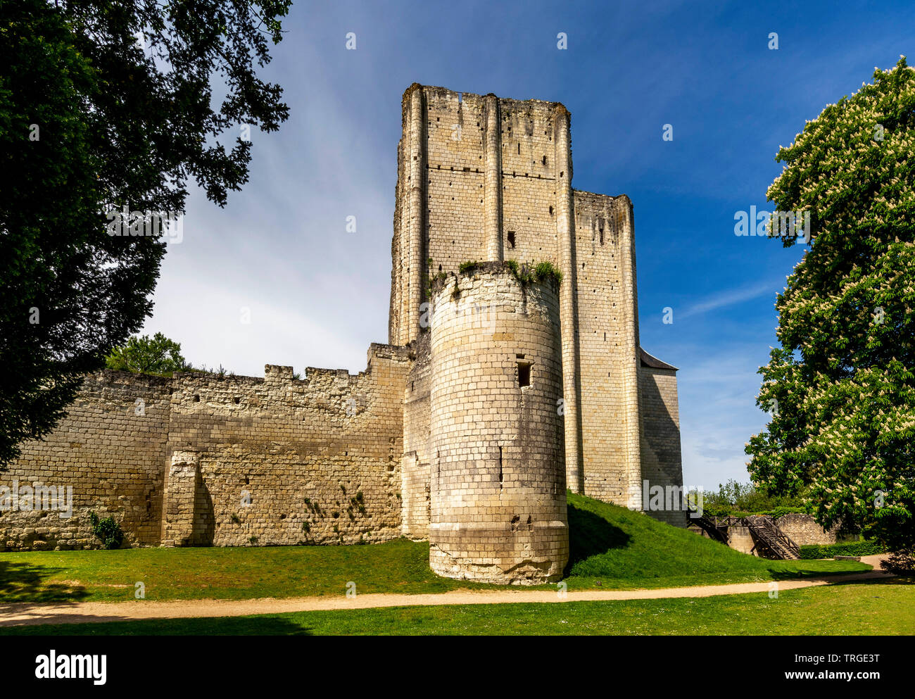Mastio medievale torre del castello della città di Loches, Indre et Loire, centro Val de Loire, Francia Foto Stock