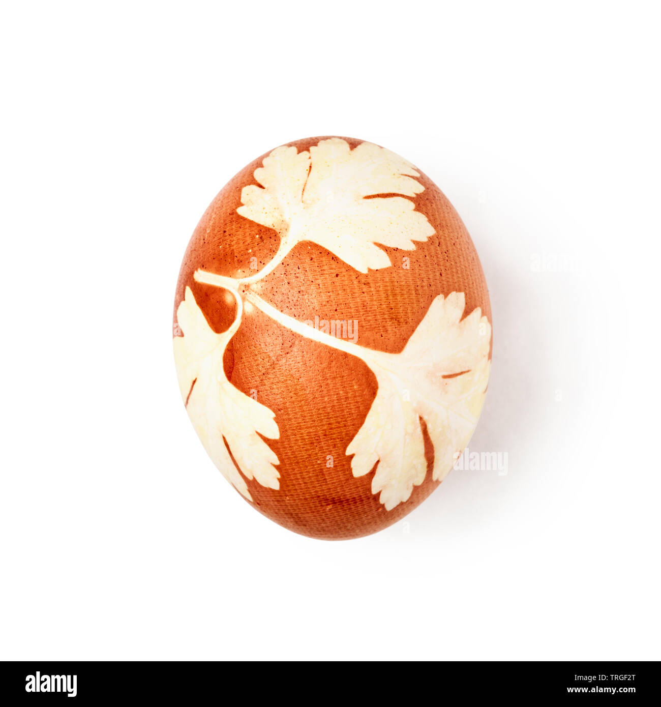 Uovo di Pasqua fatti a mano con foglie di prezzemolo imprint naturale motivo floreale isolati su sfondo bianco. Simbolo di vacanze e tradizione. Un singolo oggetto con Foto Stock