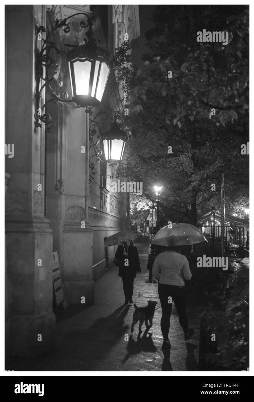 Budapest,Ungheria: Metropolitan Szabó Ervin Library Foto Stock