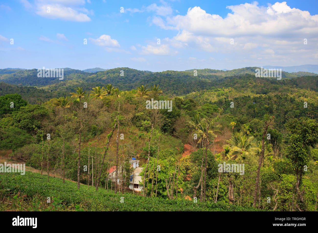 Lo splendido paesaggio di Wayanad (Kerala, India) Foto Stock