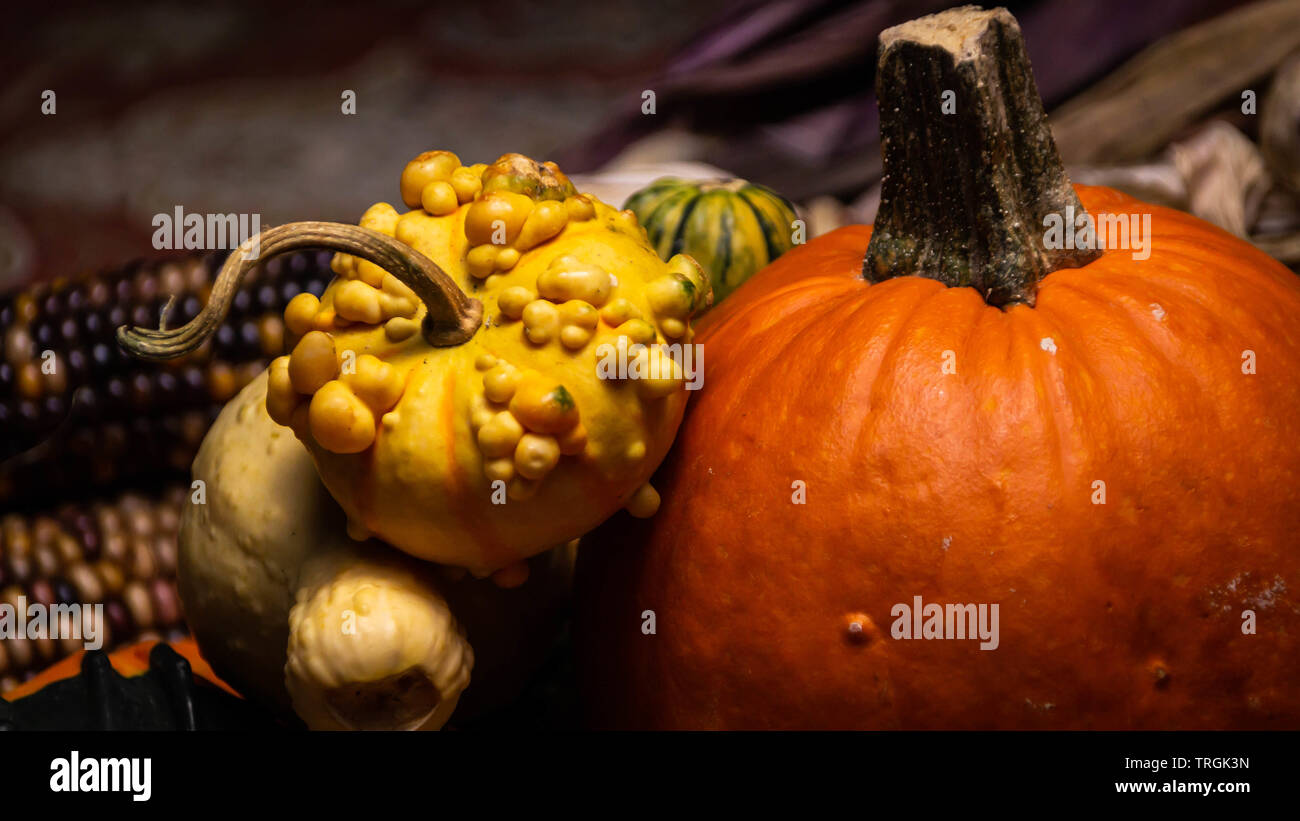 Zucche colorate e squash, Zucche e mais vitreo giacciono su una tabella durante l'autunno. Foto Stock