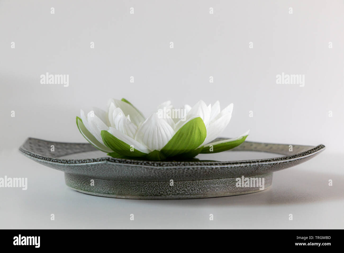 Bianco fiore di loto con una piastra verde su sfondo bianco Foto Stock