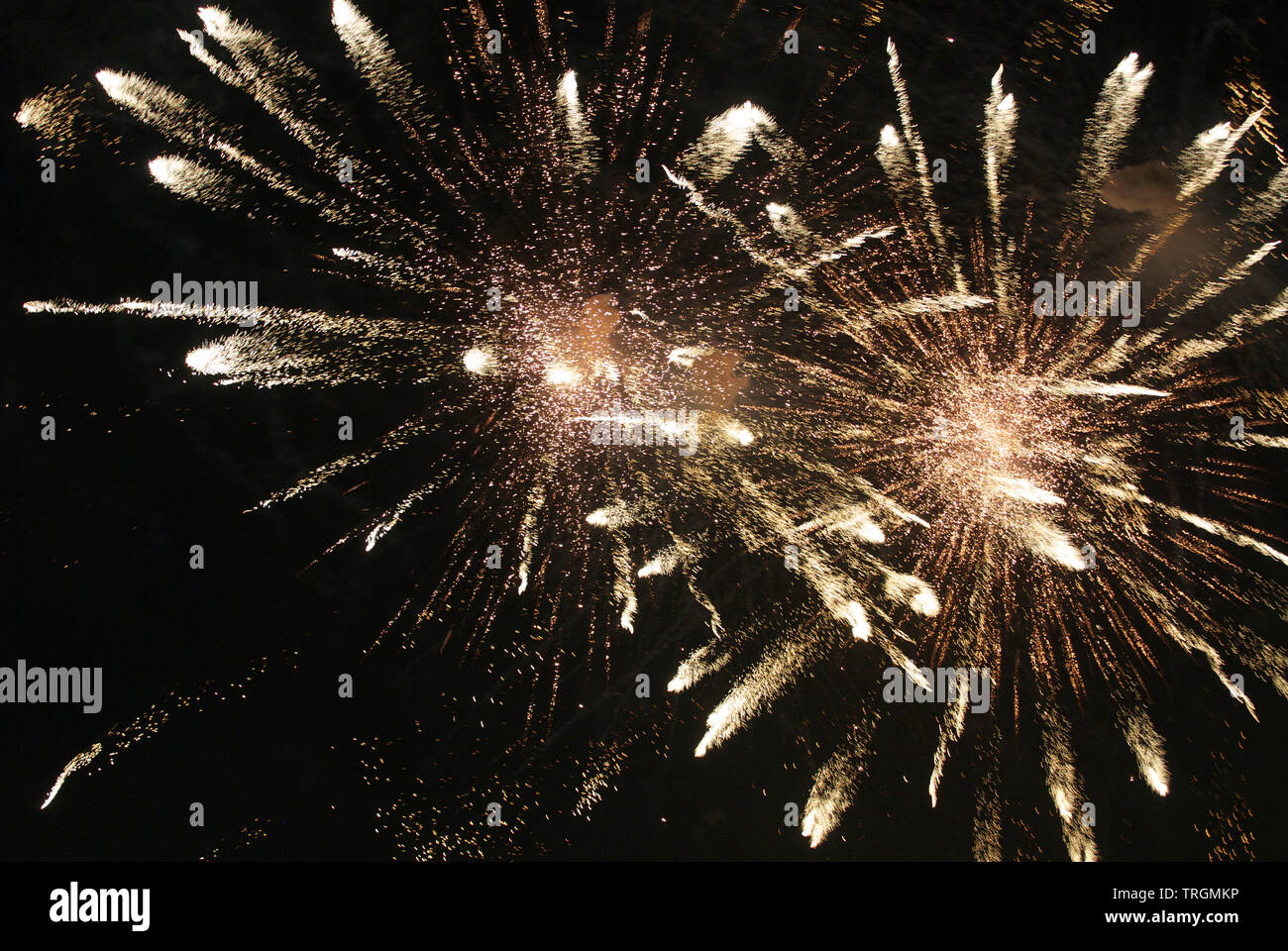 Fuochi d'artificio Foto Stock