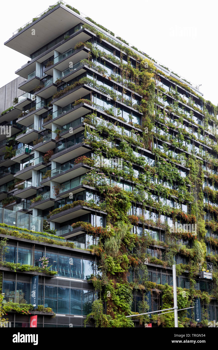 Australia, NSW, Sydney, esterno di un ambiente moderno edificio verde che mostra le piante crescono sulle pareti esterne Foto Stock