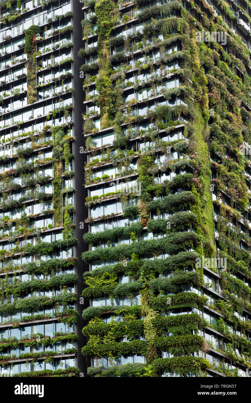 Australia, NSW, Sydney. Un verde ecologico alto edificio con piante all'esterno. Foto Stock