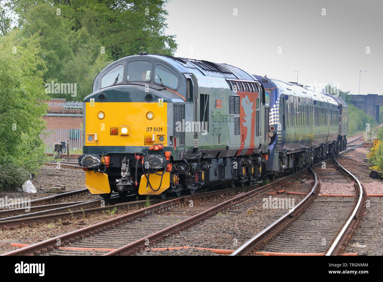 Classe 37 37601 locomotiva, denominato Perseus, tira una ripartiti in classe 334 Electric Multiple Unit 334017 nella piattaforma 3 di Kilmarnock stazione ferroviaria. Foto Stock