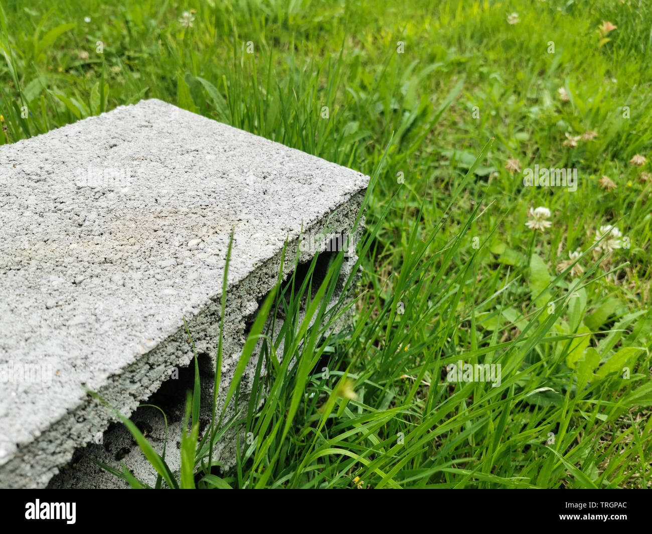 Abbandonata in mattoni di cemento nel mezzo di un prato verde Foto Stock