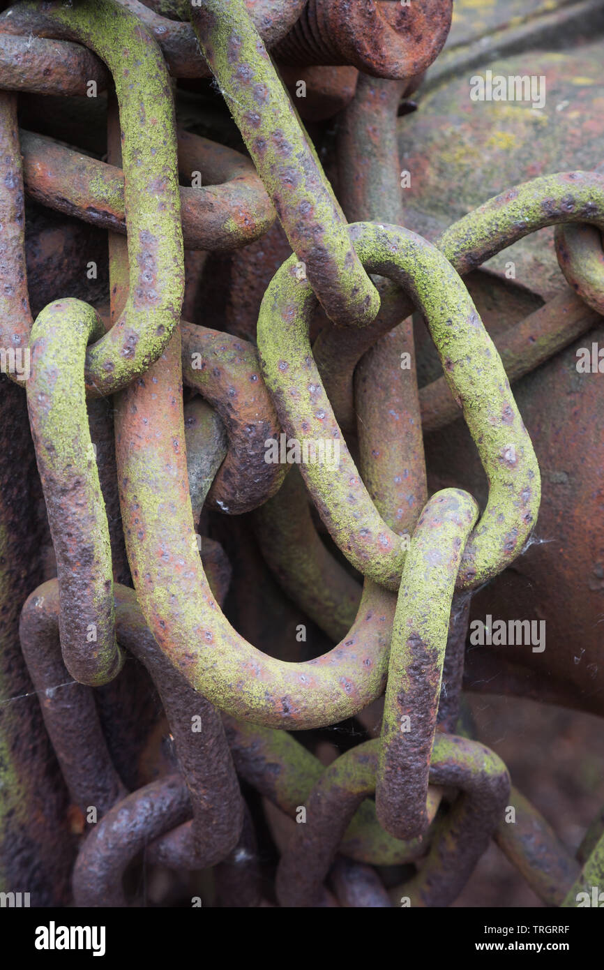 Arrugginimento vecchio ma forte e solido verde e marrone a carro ferroviario di accoppiamento in acciaio della catena di maglie metalliche sul vecchio treno motore a Didcot Centro ferroviario Oxfordshire Foto Stock