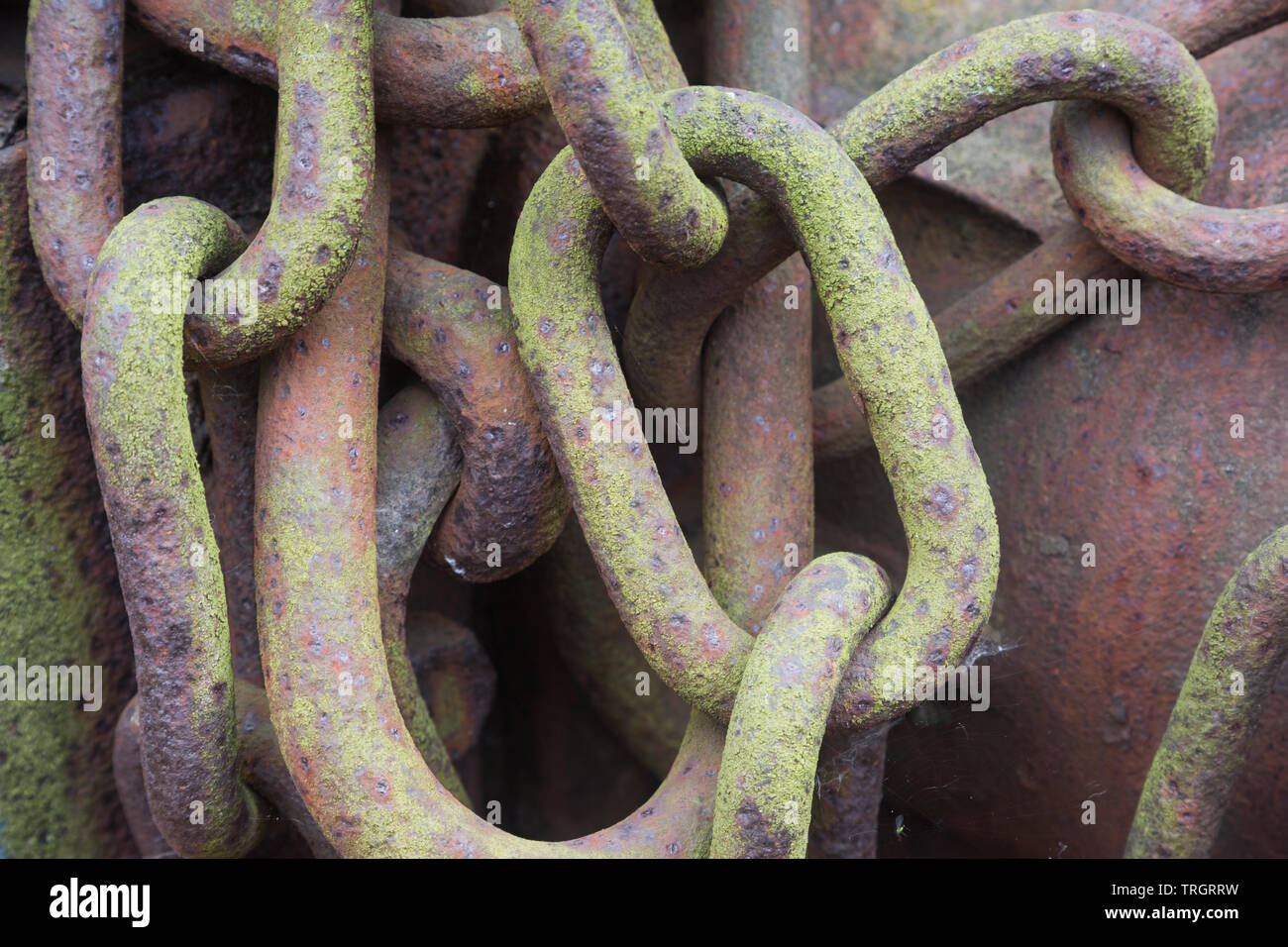 Arrugginimento vecchio ma forte e solido verde e marrone a carro ferroviario di accoppiamento in acciaio della catena di maglie metalliche sul vecchio treno motore a Didcot Centro ferroviario Oxfordshire Foto Stock