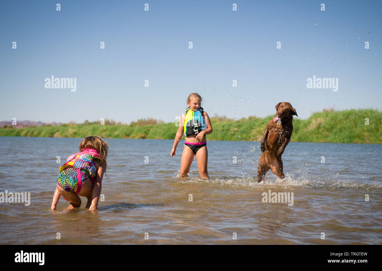 Cane che gioca con i bambini in acqua in una giornata estiva. Foto Stock