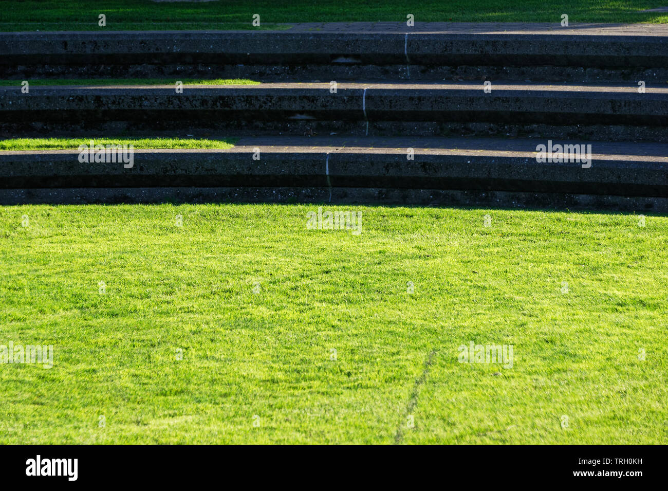Erba in un parco con le fasi di lasciare la foto Foto Stock