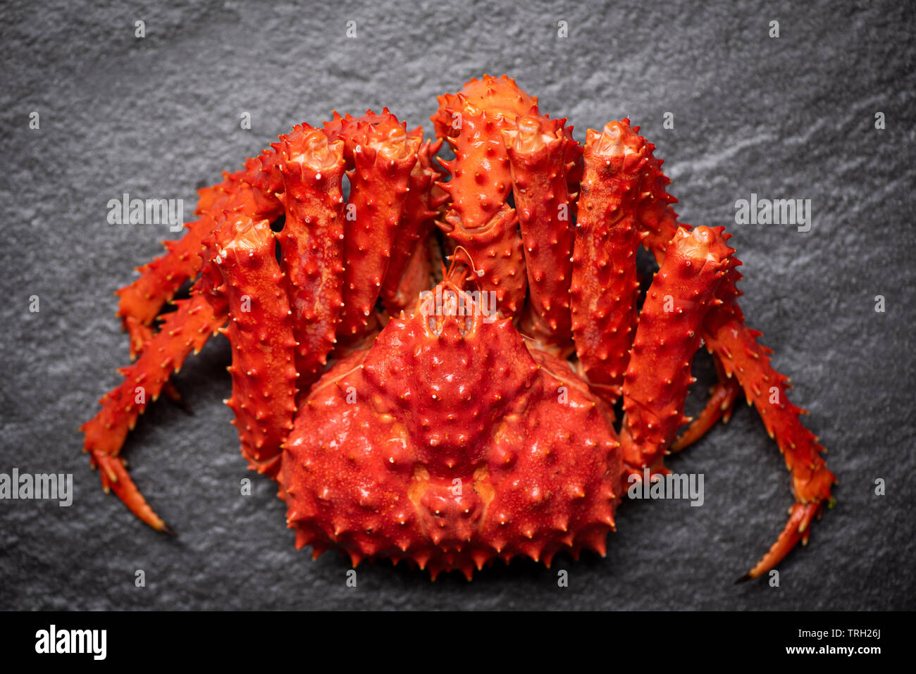 Alaskan King Crab cotti a vapore o bollito di frutti di mare su sfondo scuro - granchio rosso hokkaido Foto Stock