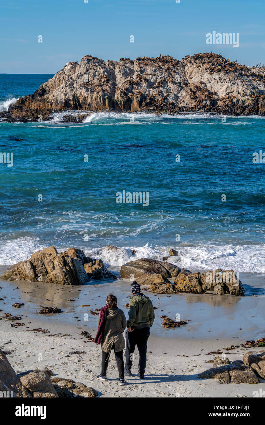 Giovane passeggiate lungo la spiaggia di Isola di tenuta su 17 Mile Drive a Monterey in California Foto Stock