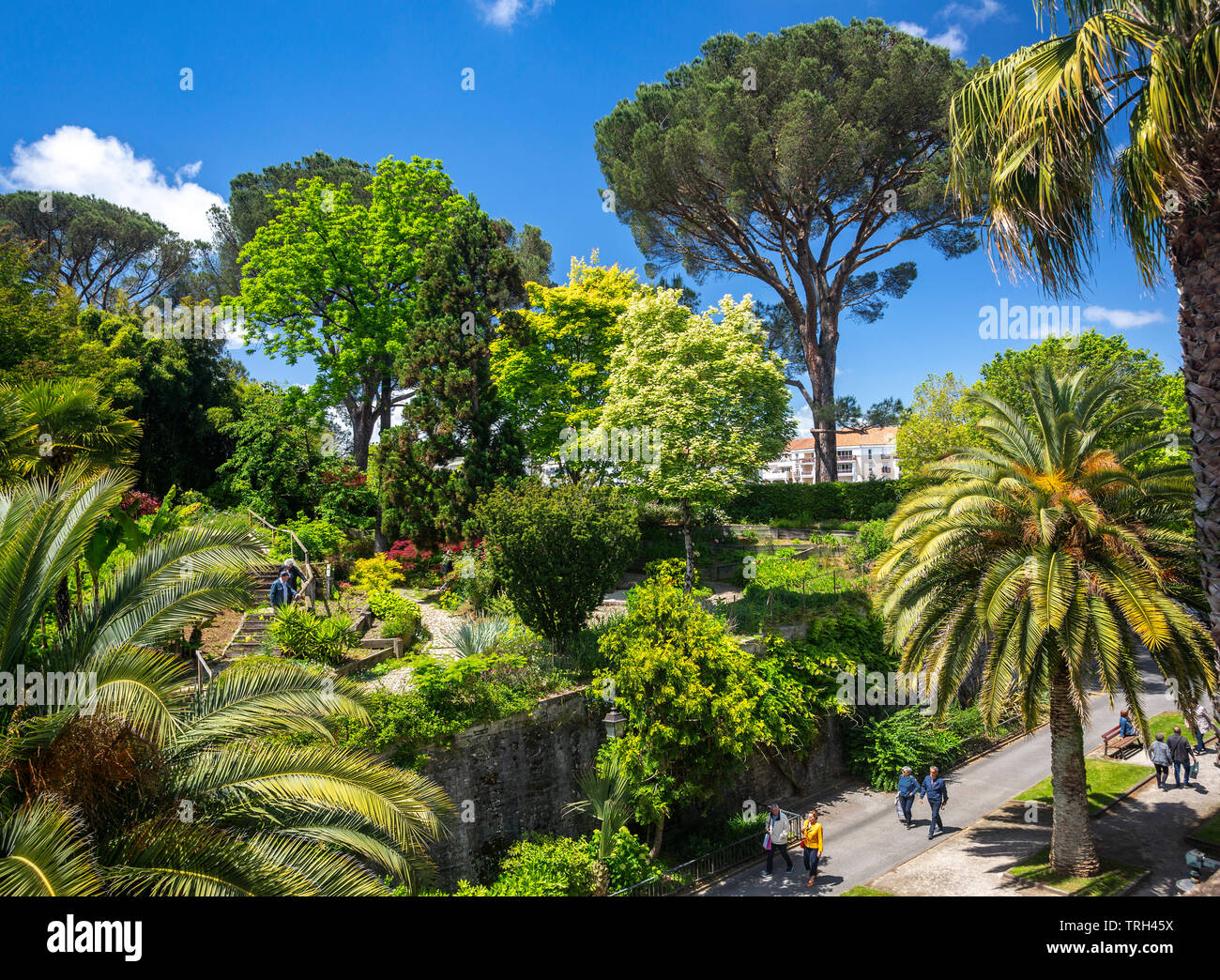 Il Bayonne giardino botanico (Aquitania - Francia). Annidato in alto sul bastione Lachepaillet, è stato stabilito in base ad un modello giapponese. Foto Stock
