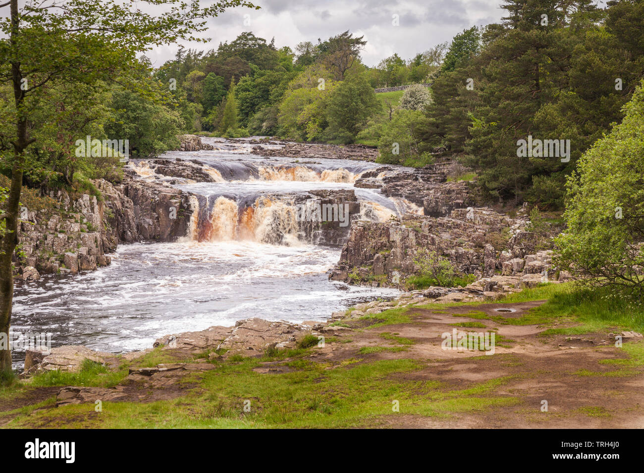 Bassa forza cascate vicino a Middleton in Teesdale, England, Regno Unito Foto Stock