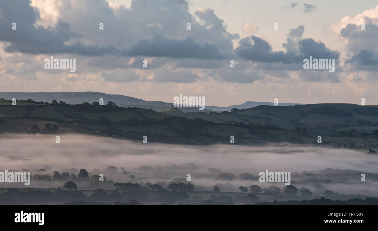Marshwood Vale, Dorset, Regno Unito. Il 6 giugno 2019. Regno Unito Meteo: uno strato di nebbia sale al di sopra dei lussureggianti prati verdi del Marshwood Vale su una mattina d'estate come un infausto meteo porta anteriore una giornata di sole e sparse di docce a pioggia nel Sud Ovest. Credito: Celia McMahon/Alamy Live News. Foto Stock