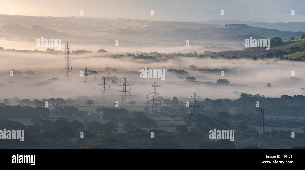 Marshwood Vale, Dorset, Regno Unito. Il 6 giugno 2019. Regno Unito Meteo: uno strato di nebbia sale al di sopra dei lussureggianti prati verdi del Marshwood Vale su una mattina d'estate come un infausto meteo porta anteriore una giornata di sole e sparse di docce a pioggia nel Sud Ovest. Credito: Celia McMahon/Alamy Live News. Foto Stock