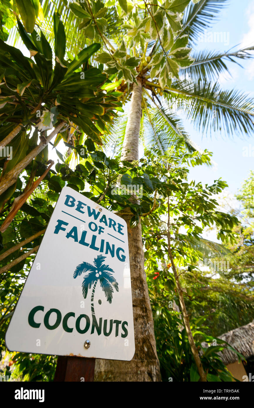 Segno avverte circa il pericolo di caduta di noci di cocco, Vanuatu Foto Stock