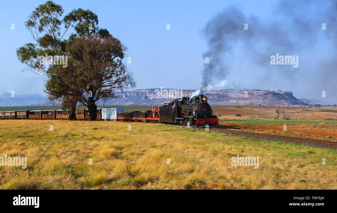 Una locomotiva a vapore scoppiettamento attraverso la fattoria terre nel libero Stato provincia Sud Africa; Foto Stock