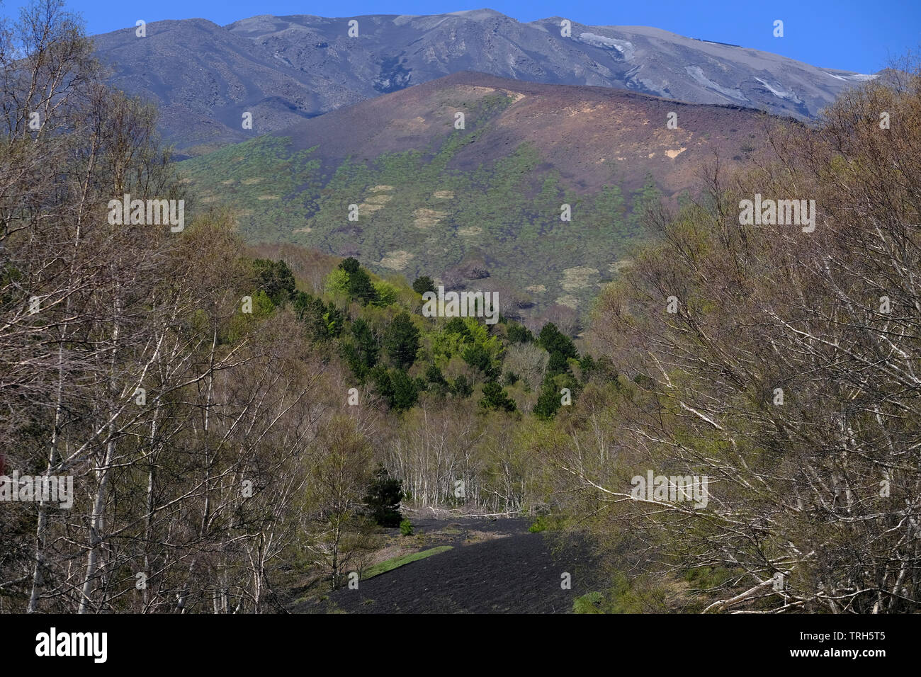 Pendici del Monte Etna, il più alto e il vulcano più attivo in Europa, Nicolosi, Sicilia, Italia Foto Stock