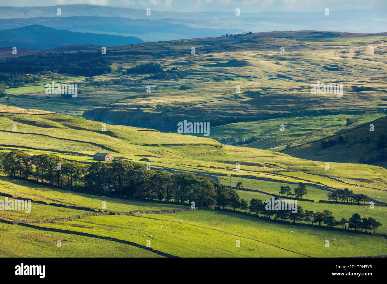 E Hooksbank Wharfedale, Kettlewell, Yorkshire Dales National Park, England, Regno Unito Foto Stock