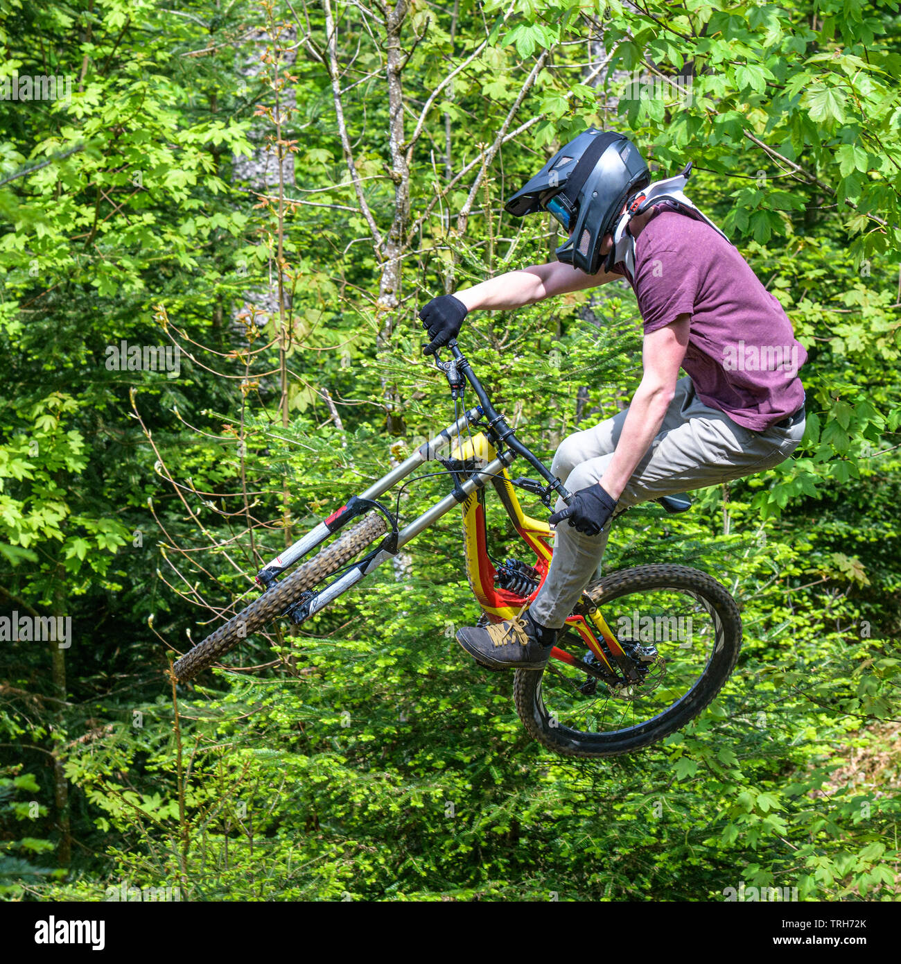 Sessione di salto di giovani professionisti della mountain bike in un bike park in foresta Foto Stock