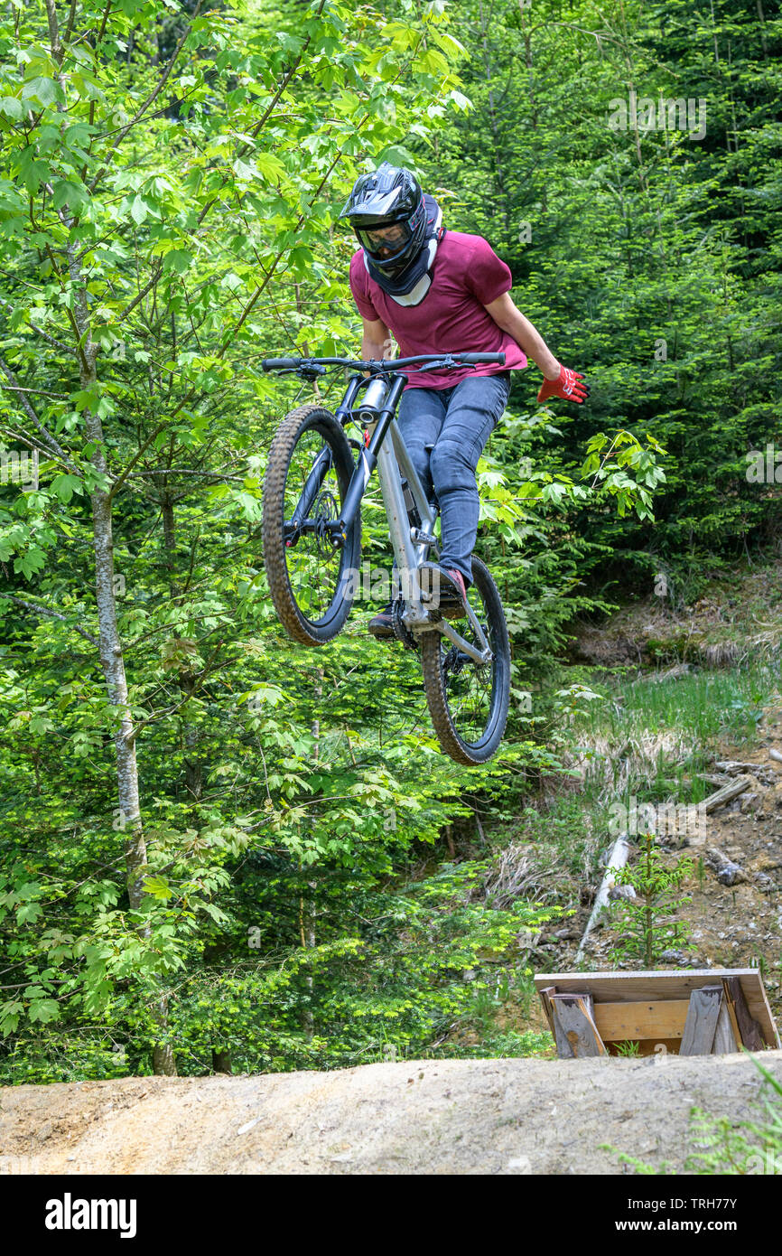 Sessione di salto di giovani professionisti della mountain bike in un bike park in foresta Foto Stock