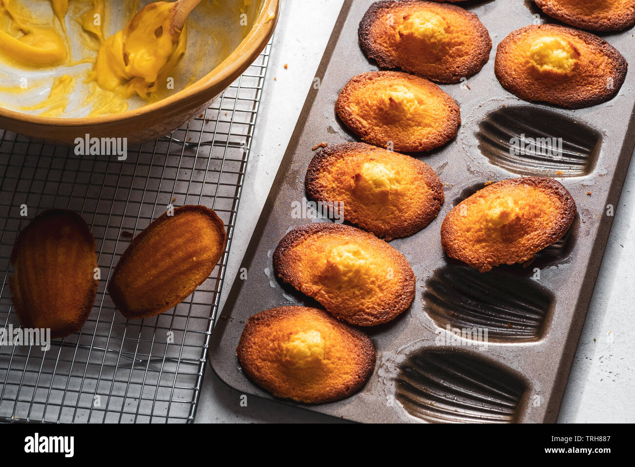 Madeleines francese Foto Stock