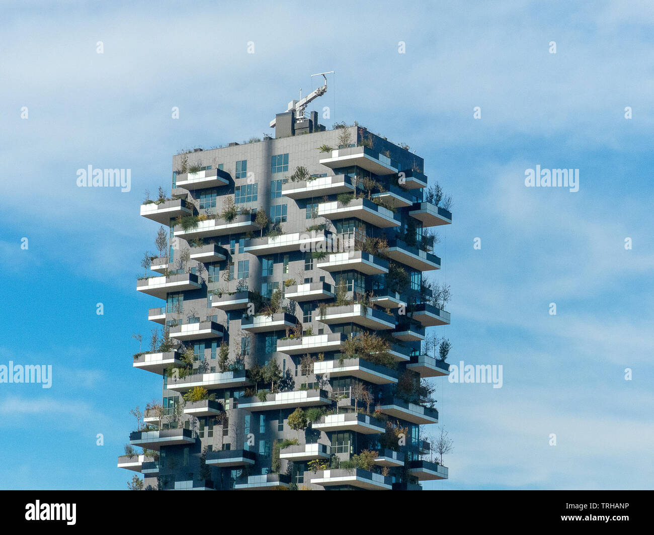Bosco Verticale Urban Design Milano Foto Stock