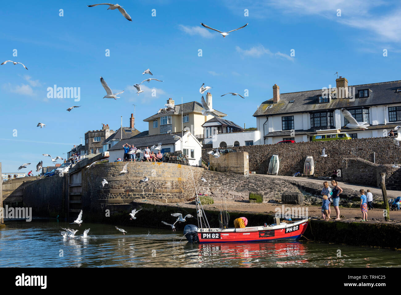 Una barca da pesca circondata da gabbiani in un assolato pomeriggio di primavera in Bude sulla North Cornwall Coast Inghilterra, Regno Unito Foto Stock