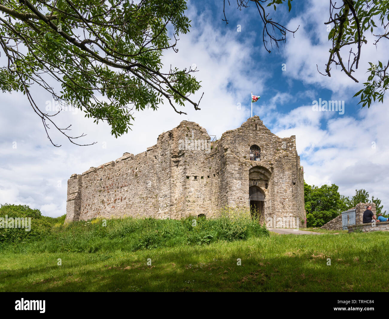 Oystermouth Castle, Wales, Regno Unito Foto Stock