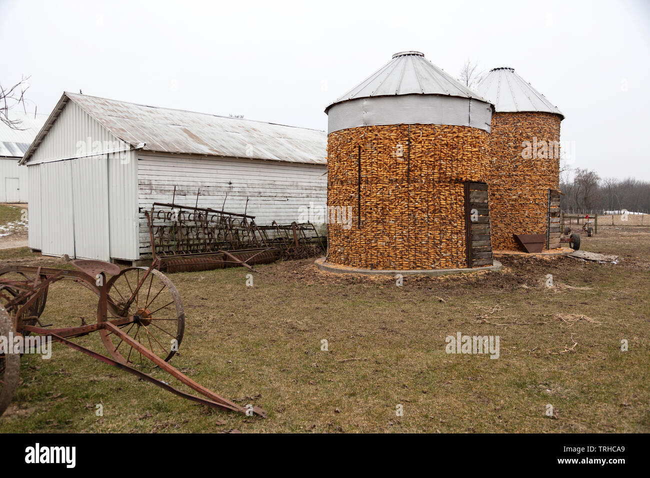 Mais campo memorizzati nel presepe, fattoria Amish, Indiana, da James D Coppinger/Dembinsky Foto Assoc Foto Stock