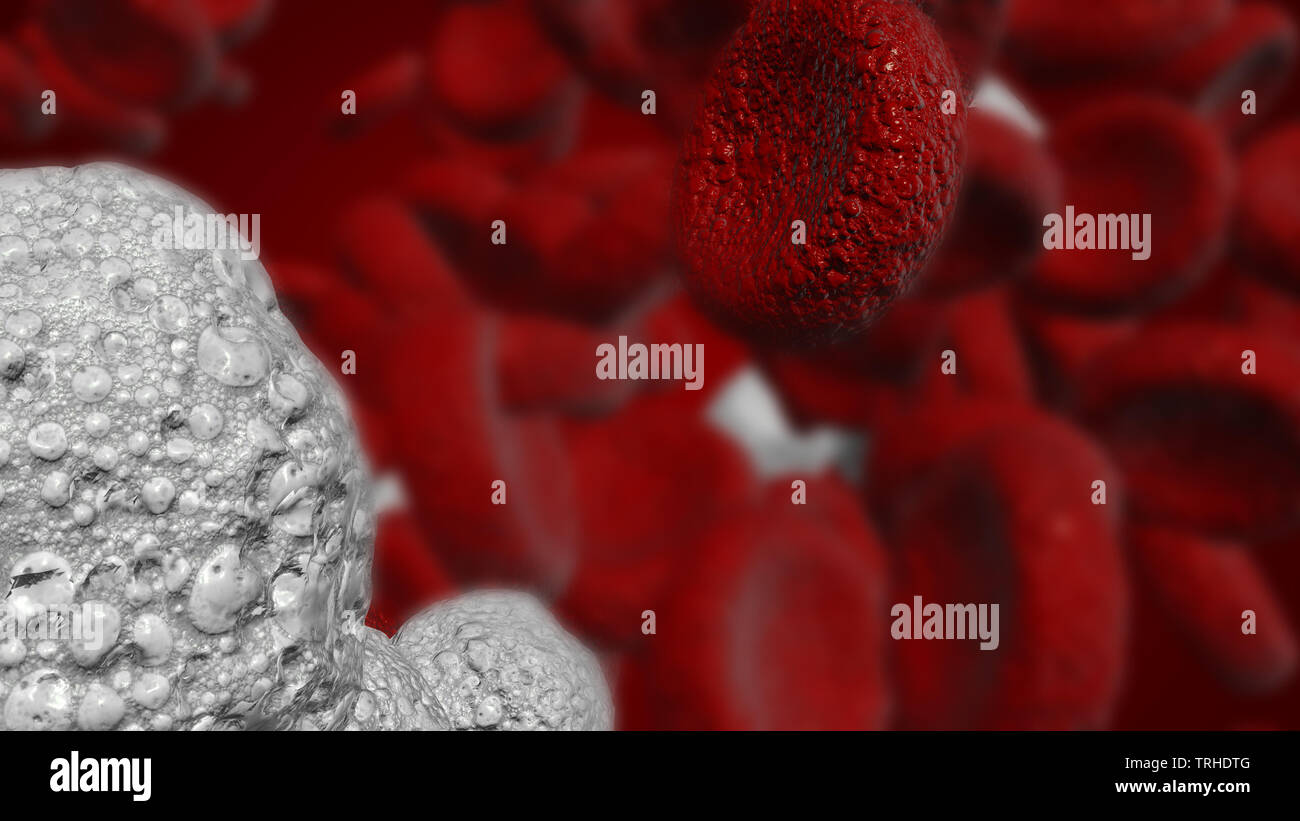Illustrazione di cellule bianche del sangue e cellule di sangue rosse utilizzato in medicina o scienza Foto Stock